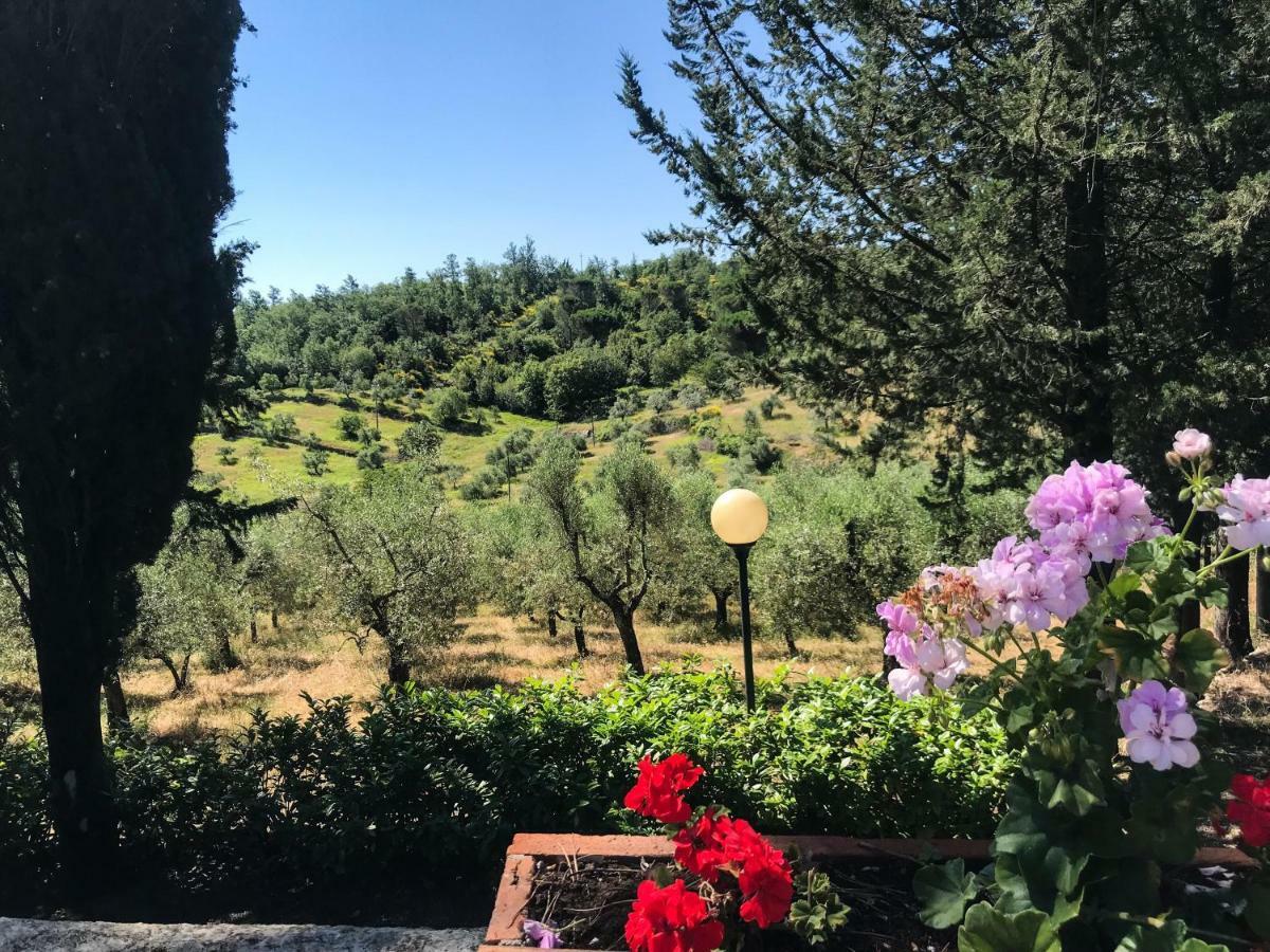 Agriturismo Testalepre Греве ин Кианти Екстериор снимка